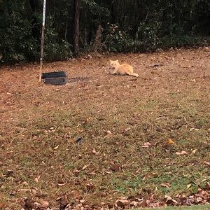 Meet your Posher, Clyde